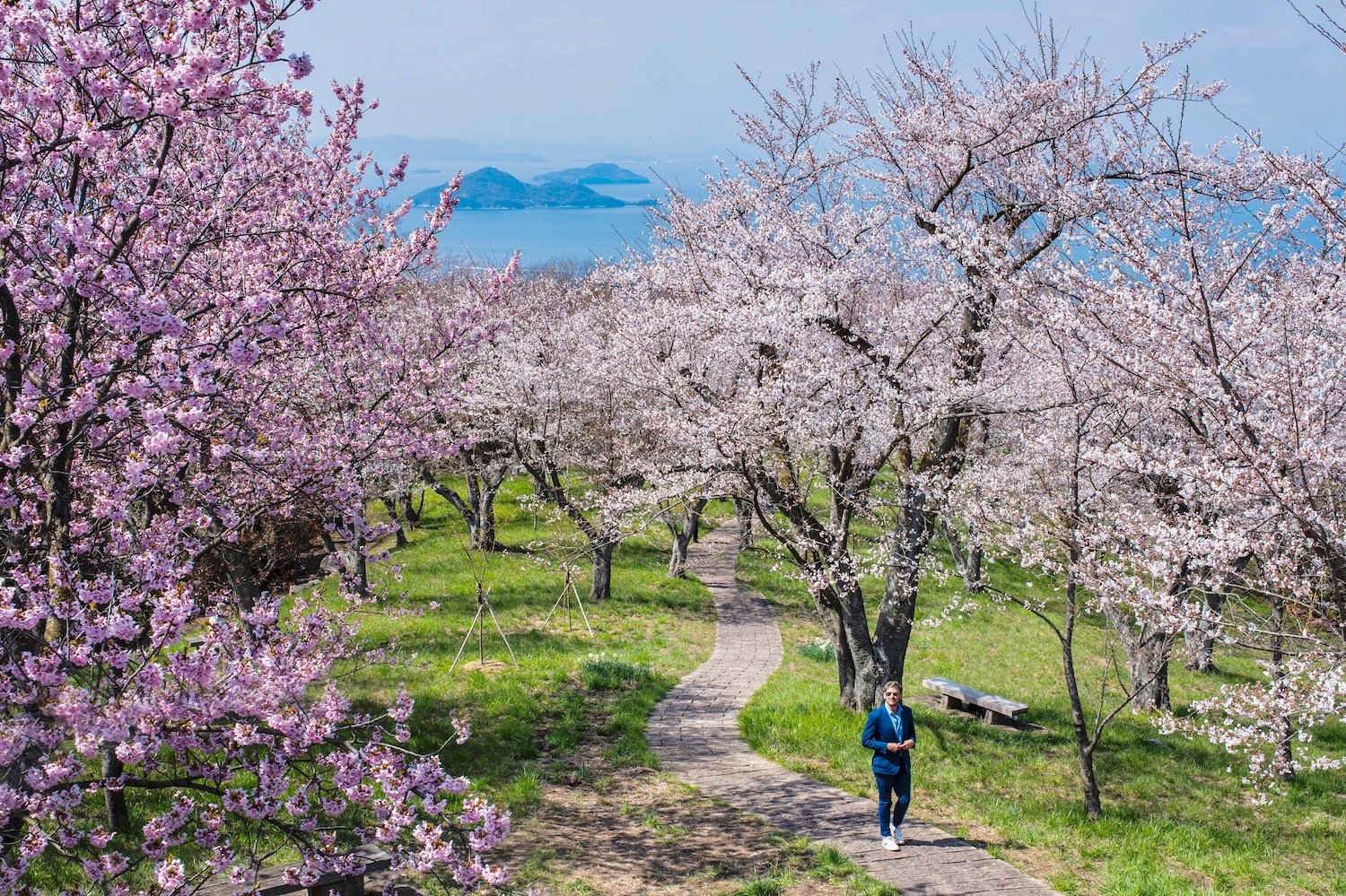 🌳 이마바리 시민의 숲 플라워 파크 (이마바리 시민노모리 후라와파쿠) 이미지 7